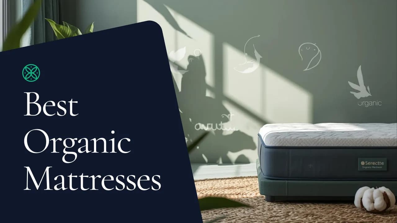 Best Organic Mattresses on Amazon: Latex & Natural Picks